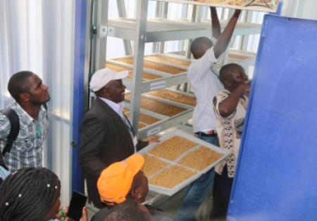 Stakeholder Summer Camp on Hydroponic Fodder Production Technology