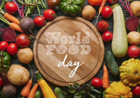 Building the Capacity across Livestock Value Chains for Foods Safety 