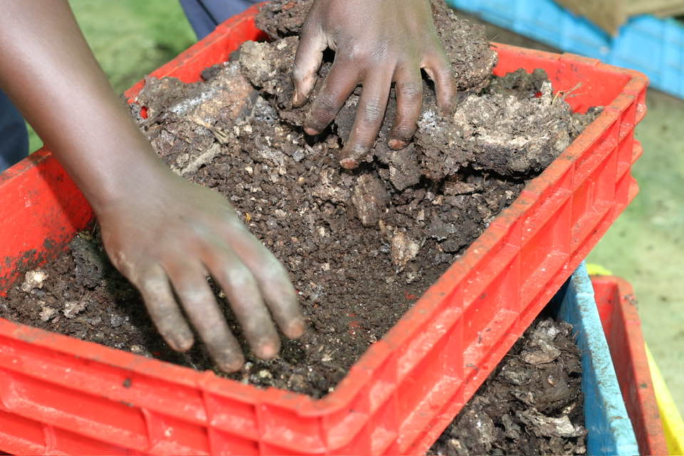 Why Farmers Overlook Soil, and What We Can Do About It