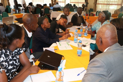 Research mentorship programme by iLINOVA